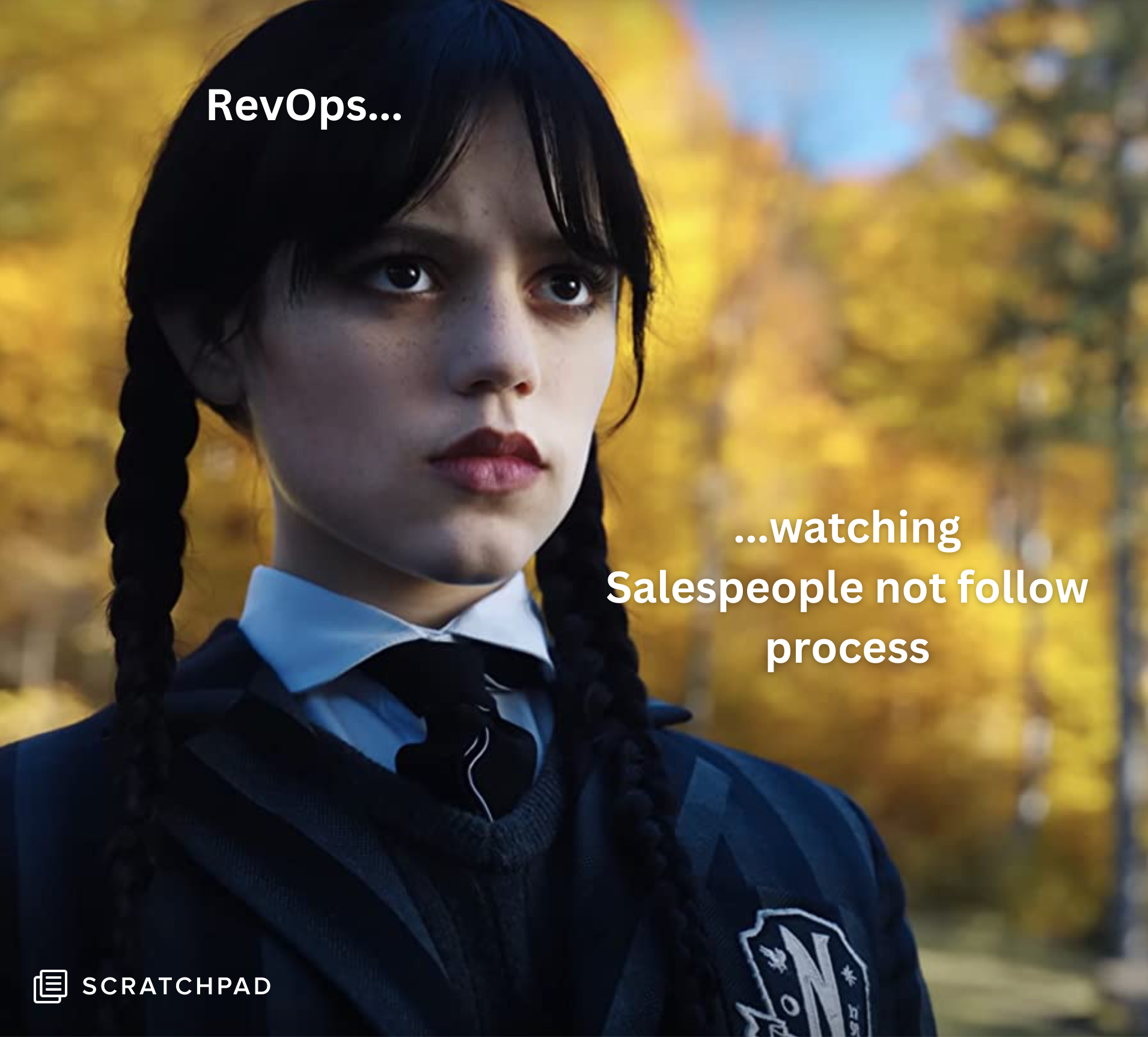 Revops watching Salespeople not follow processes